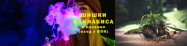 apvp Алзамай