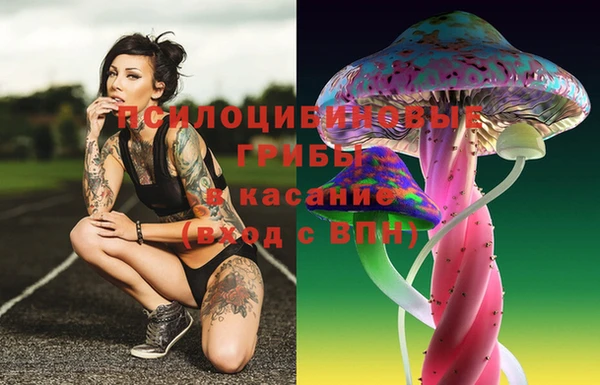 скорость Алексин