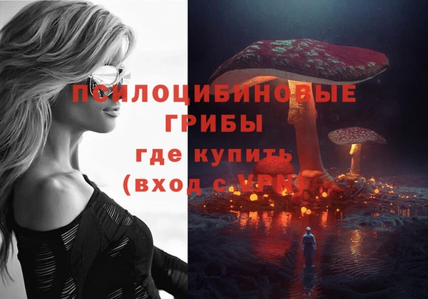 apvp Алзамай