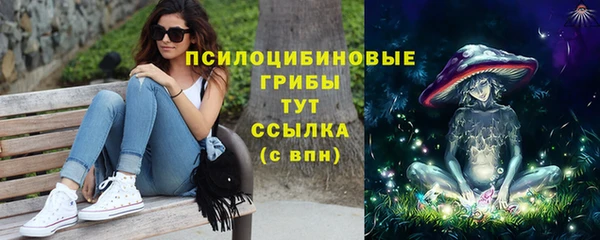 хмурый Алексеевка