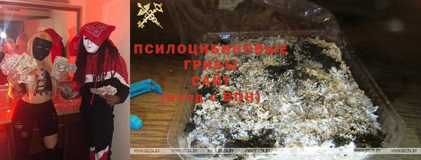 хмурый Алексеевка