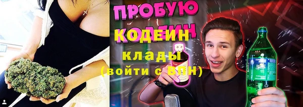 apvp Алзамай
