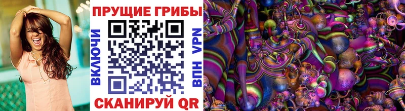 сколько стоит  Урай  Псилоцибиновые грибы Magic Shrooms 